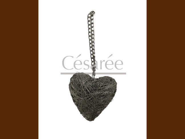 COEUR EN FIL DE FER